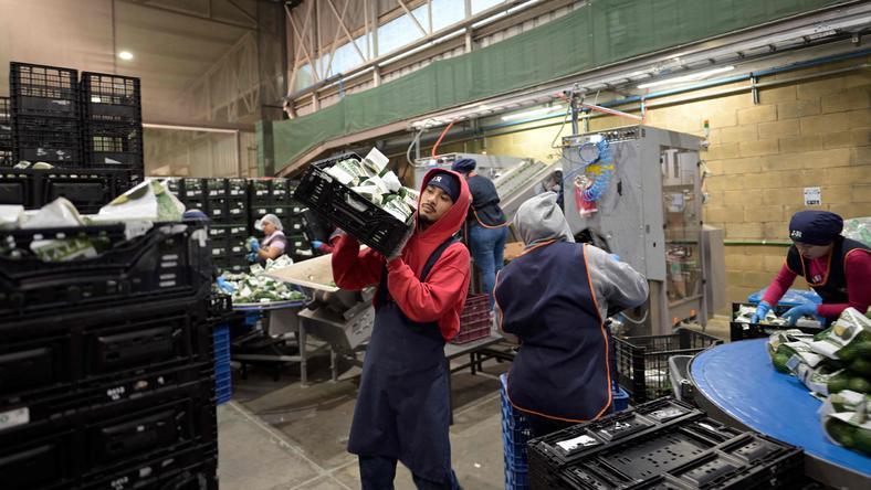 建仓、买飞机、培训司机,中国物流“卷”向墨西哥